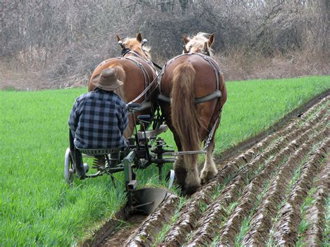 Fjordworks: Plowing the Market Garden Part 2 - Small Farmer's JournalSmall Farmer's Journal