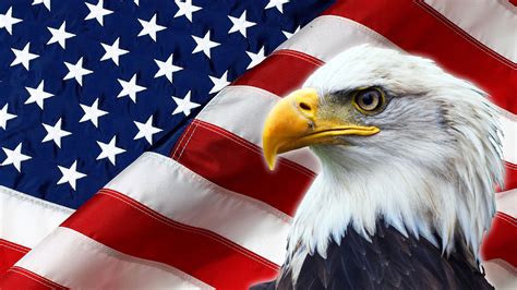 North American Bald Eagle on American flag – Cremation Services