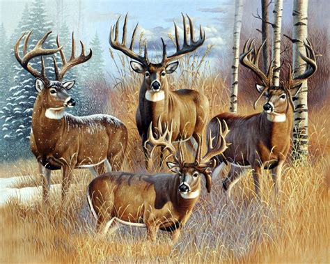 Four Big Whitetail Bucks Deer 0136 36 Panel