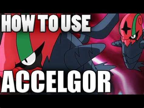 Pokemon: ACCELGOR GIMMICK MASTER! Accelgor Moveset - Pokemon Omega Ruby ...