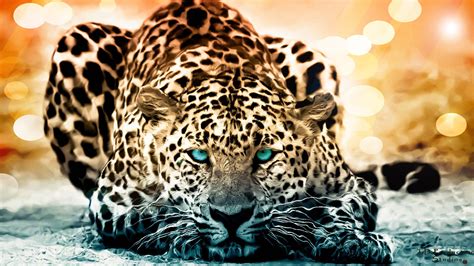 Wild Animals Wallpaper (52+ images)