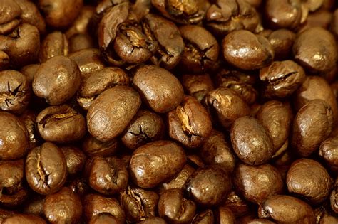 Peaberry Coffee Beans: Flavor Profile, Top Picks & More! (2022 Update)