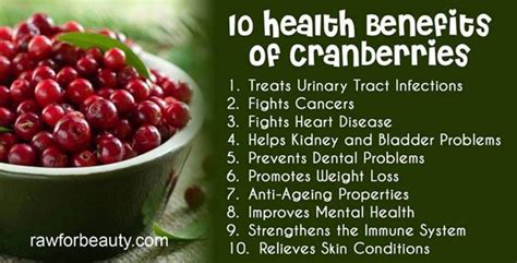 Cranberry Fitness Nutrition, Health And Nutrition, Health Food, Health ...