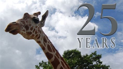 Metro Richmond Zoo - Celebrating 25 Years! - YouTube