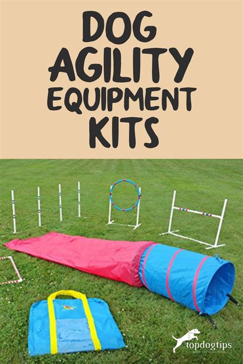 15 Best Dog Agility Equipment Kits in 2023 (For Beginners and Advanced)