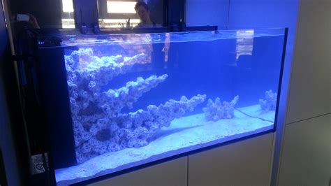 Reef Tank Aquascapes - custom built by R&R Aquascapes, UK Marine Aquarium, Reef Aquarium, Reef ...