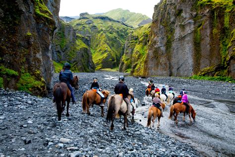 Meet the beautiful Icelandic horses (ponies) and enjoy a scenic horse back riding tour in the ...