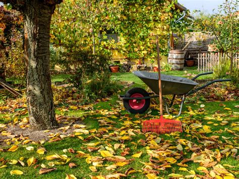 Beginner’s Guide To Fall Gardening – Autumn Garden Tips And Projects