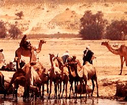 Sahel - Wikipedia