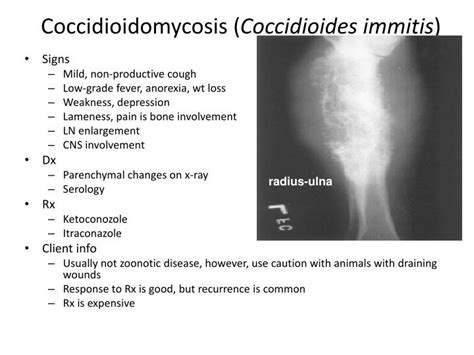 PPT - Cardiorespiratory Diseases PowerPoint Presentation - ID:1391764