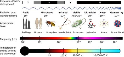 All Types of Electromagnetic Waves - Lillian Kerr