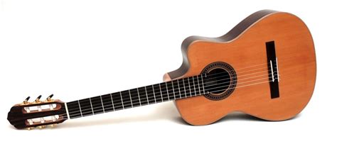 Can Classical Guitars Have Cutaways | INS.