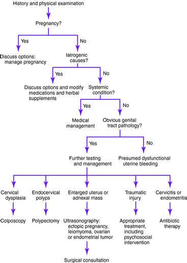 Pathophysiology Of Abnormal Uterine Bleeding