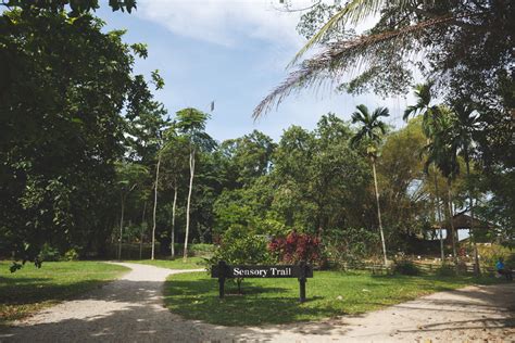 Guide to Pulau Ubin: casual nature lover