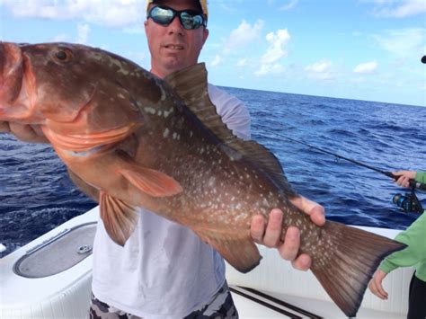 Red Grouper Fishing in the Florida Keys