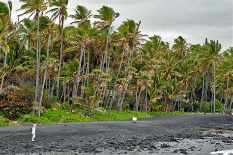 Punaluʻu Black Sand Beach | Amusing Planet