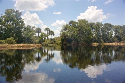 Melbourne Airboat Rides - St. Johns River Wildlife Tours