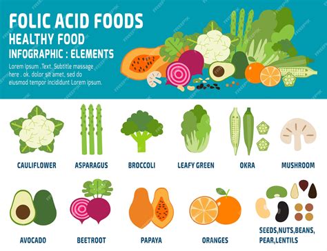 Premium Vector | Folic acid foods infographic vector illustration isolated