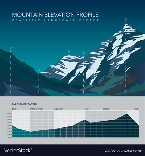 High mountain landscape elevation infographic Vector Image