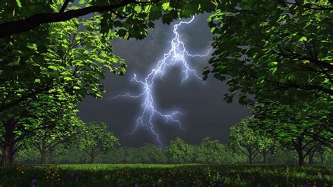 Lightning Storm In The Woods - 1024x576 Wallpaper - teahub.io