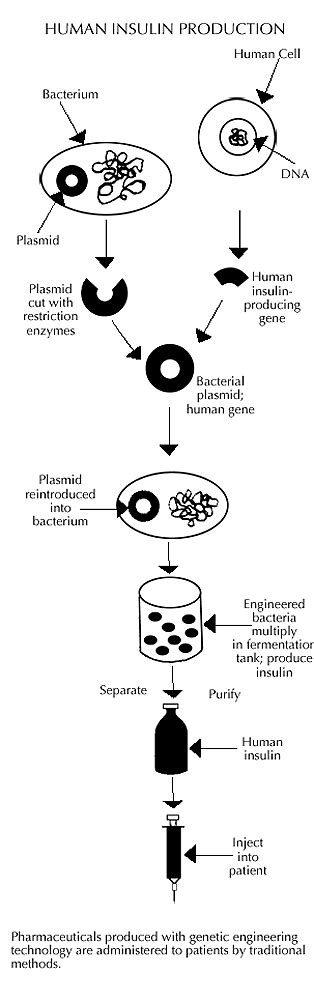 JOTS v25n2 - The Symbiotic Relationship of Science and Technology in ...