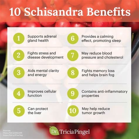 10 Amazing Schisandra Berry Benefits - Dr. Pingel