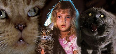 20 of the Best Cats in Horror - Horror Land