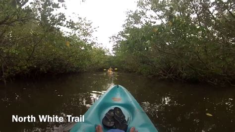 Kayaking At West Lake Park Hollywood, Florida - YouTube