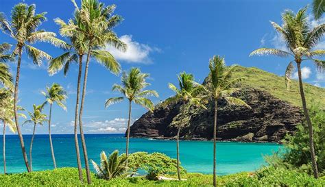 Kahului, Maui | Maui vacation, Hawaii vacation, Hawaii travel guide