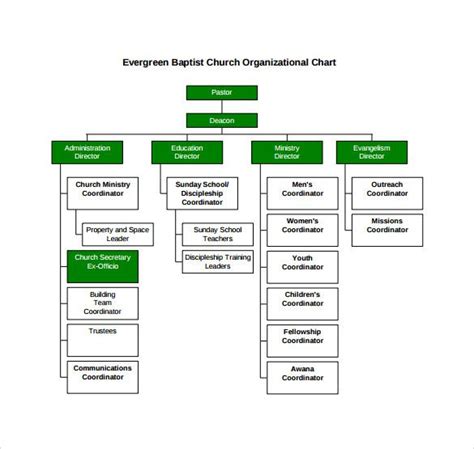 the organizational chart for an organization is shown in green and ...