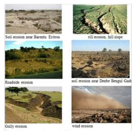 8 different types of Erosion in Eritrea | Download Scientific Diagram