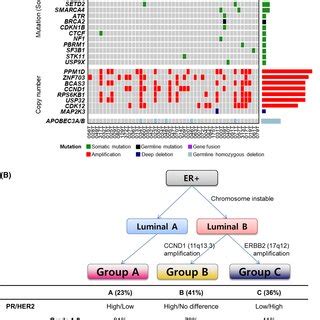 Genomic profiling and integrative summary of molecular characteristics.... | Download Scientific ...