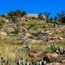 Enchanted Rock State Natural Area - Treetop River Cabins