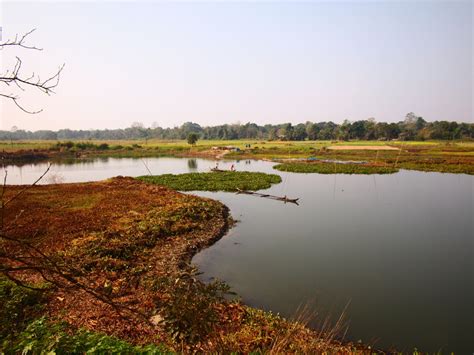 Majuli Island in Assam - Rakhee Ghelani