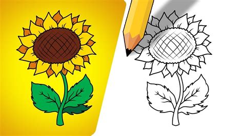 How To Draw A Sunflower For Kids - art-bonkers