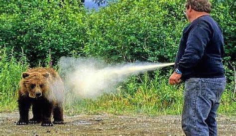 Bear spray: carry it, know how to use it - The BoZone