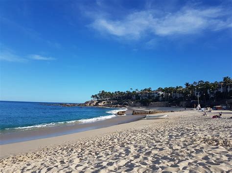 Playa Palmilla (Palmilla Beach) (卡波聖荷西) - 旅遊景點評論 - Tripadvisor