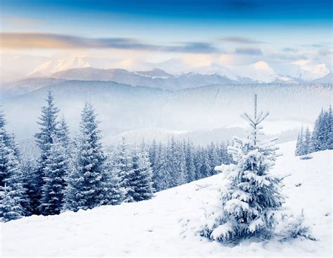 3840x2979 winter 4k wallpaper hd desktop | Winter wallpaper desktop, Winter wallpaper hd, Winter ...