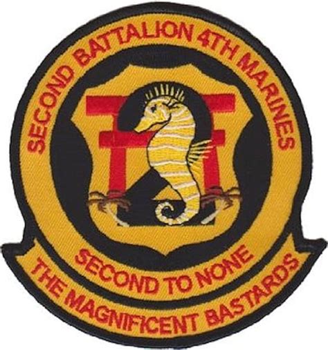 Amazon.com: 2nd Battalion 4th Marines USMC Patch: Military Apparel ...