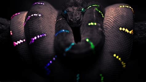 Cool Snake Wallpapers - WallpaperSafari