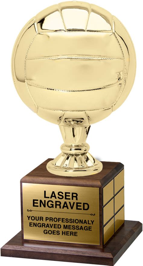 Full Size Gold Finish Volleyball Trophy on Genuine Walnut Base - Trophy ...