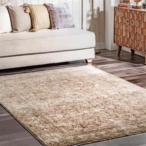 nuLOOM 5 x 7 Beige Indoor Distressed/Overdyed Vintage Area Rug in the Rugs department at Lowes.com