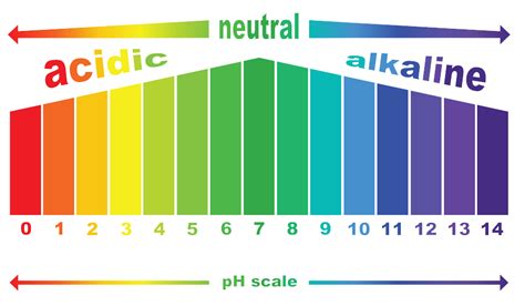 Ph Scale Chart With Examples