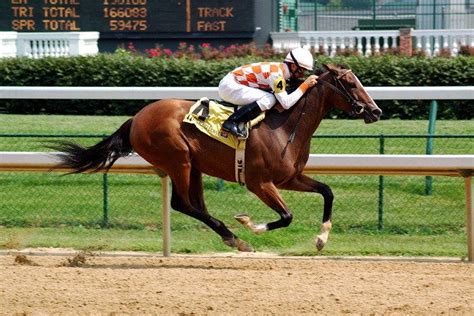 Retama Park Horse Racing is one of the very best things to do in San ...