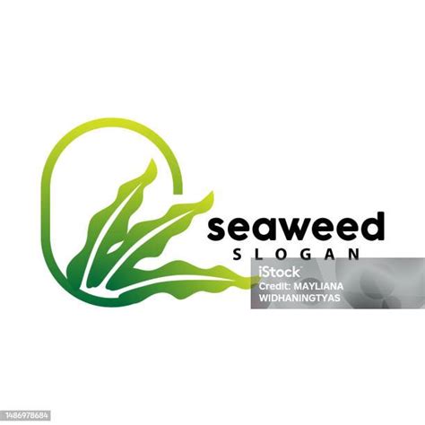 Seaweed Logo Underwater Plant Vector Simple Leaf Design Illustration Template Symbol Icon Stock ...