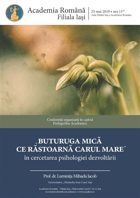 „Buturuga mică ce răstoarnă carul mare” în cercetarea psihologiei dezvoltării – Academia Română ...