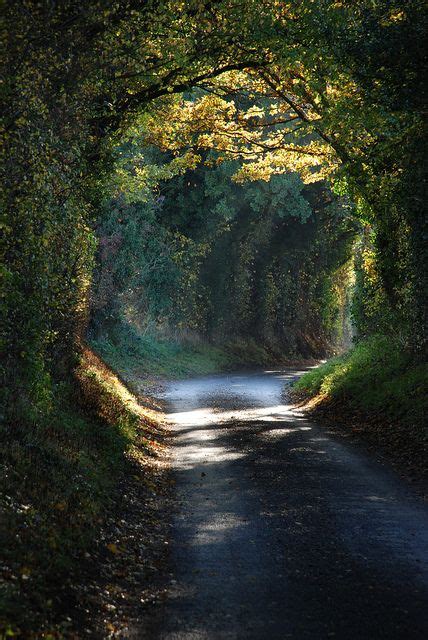 Waldringfield, Suffolk | Beautiful nature, Nature aesthetic, Scenery