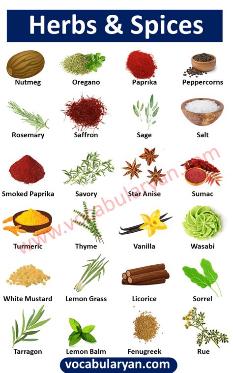 List of Herbs and Spices Vocabulary with Images | Herbs & spices, Herbs ...