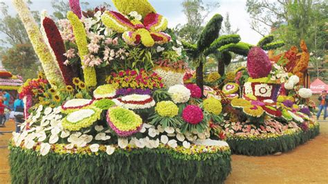 5 Things You Probably Don't Know about the Panagbenga Festival