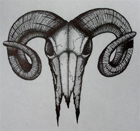 Ram Skull Drawing by Troy Cleveland II - Pixels